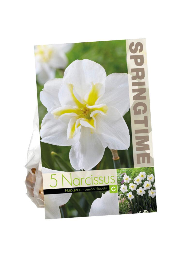 Narcissus Lemon Beauty