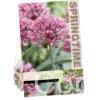 Allium Londen