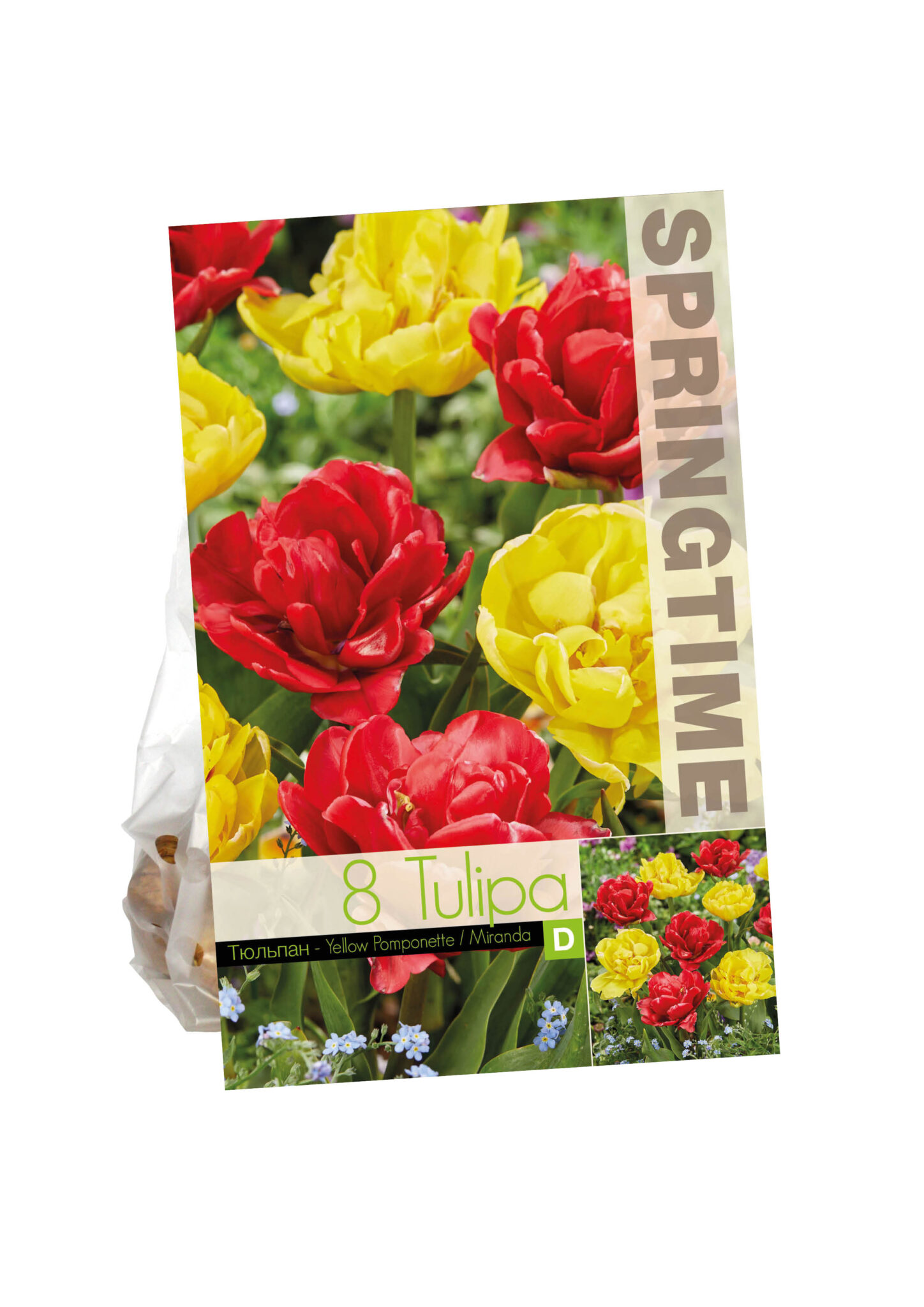 Tulipa Yellow Pomponette/Miranda