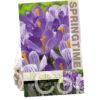 Crocus Blue/White
