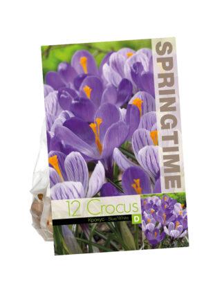Crocus Blue/White