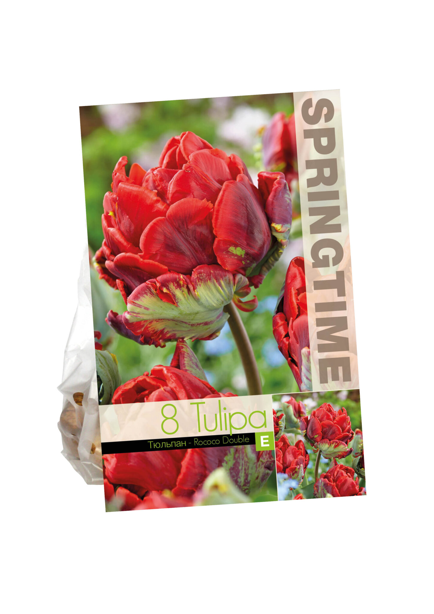 Tulipa Rococo Double