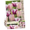 Tulipa Librije/Barcelona Beauty