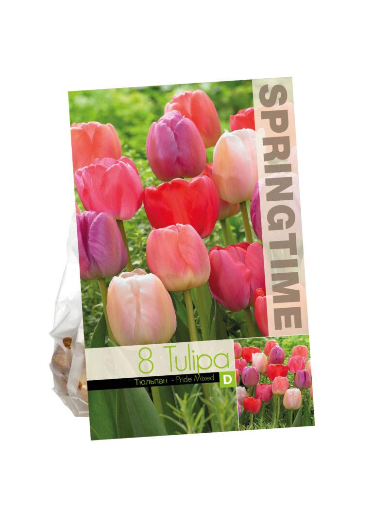 Tulipa Pride Mixed