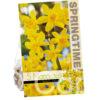 Narcissus Diego
