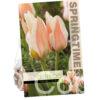 Tulipa Serano