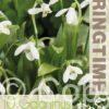 Galanthus woronowii