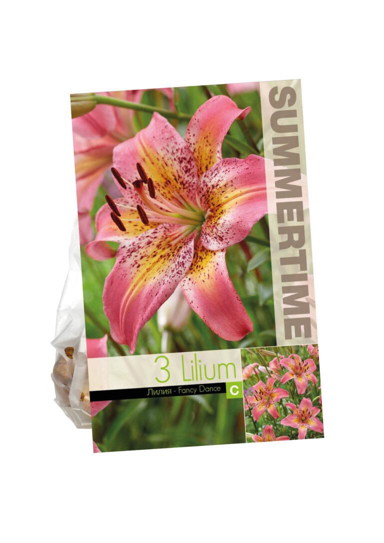 Lilium Fancy Dance