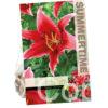 Lilium Red Flash