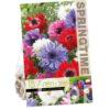 Anemone St. Brigid Mixed
