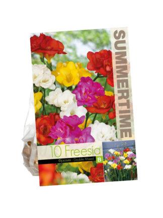 Freesia Double Mixed