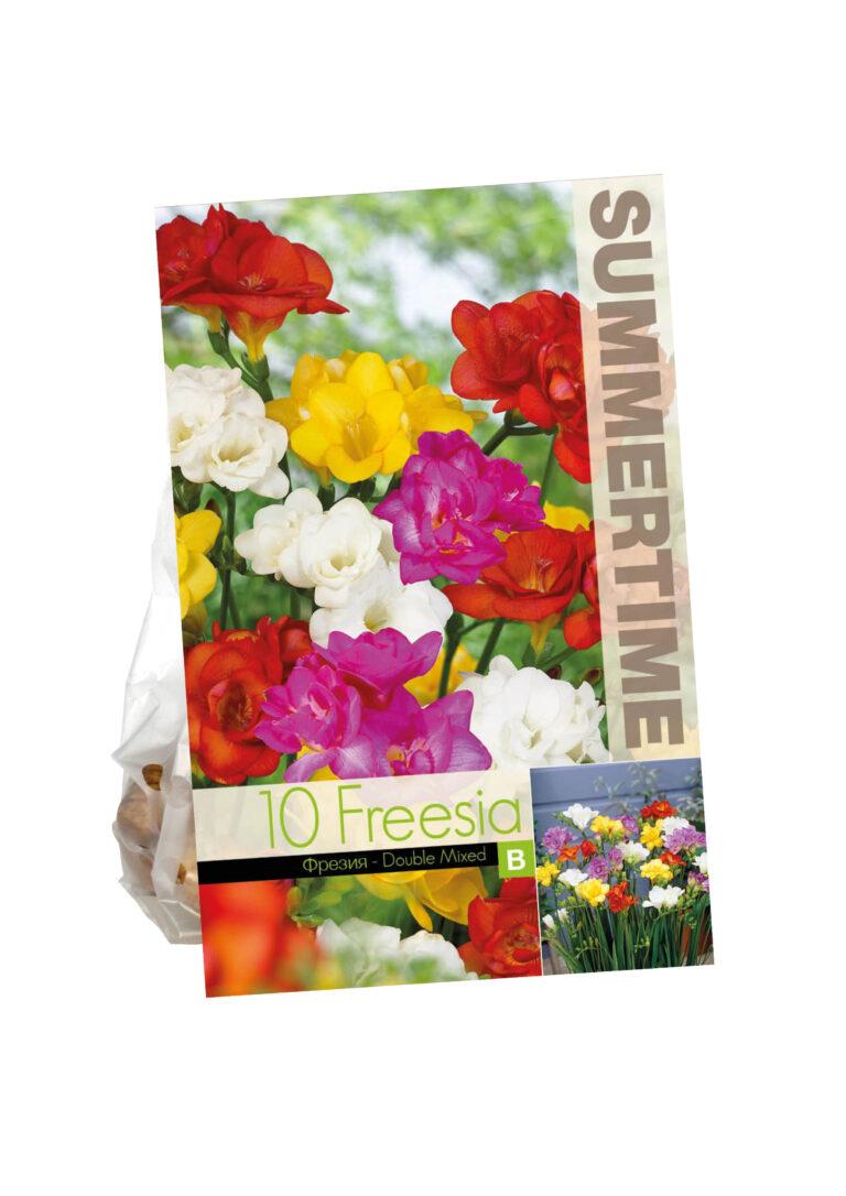 Freesia Double Mixed