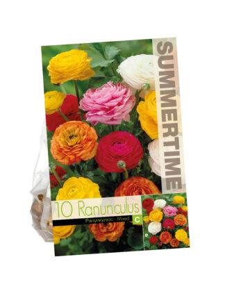 Ranunculus Mixed