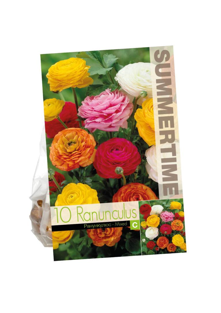 Ranunculus Mixed