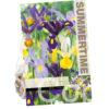 Iris Hollandica Mixed