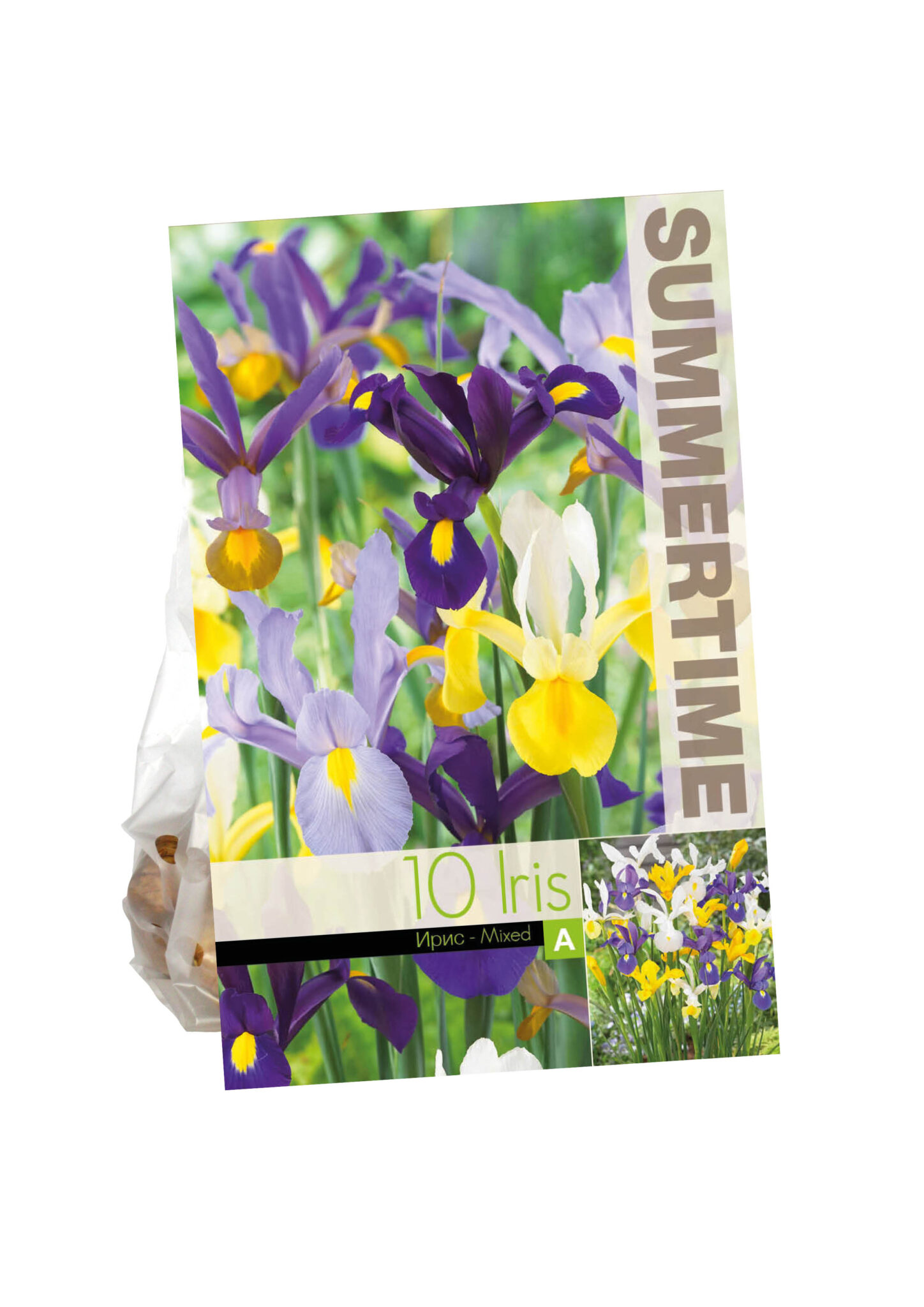 Iris Hollandica Mixed