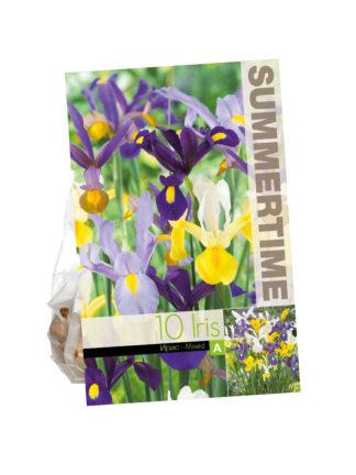 Iris Hollandica Mixed