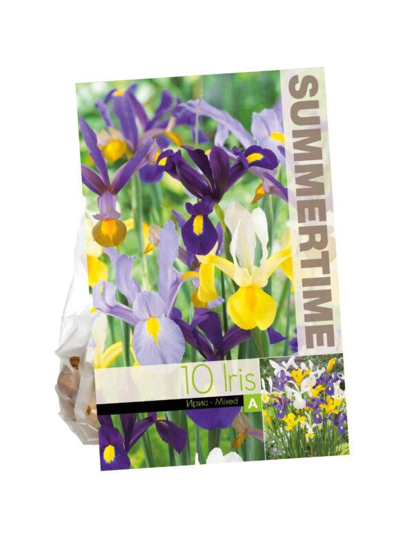 Iris Hollandica Mixed