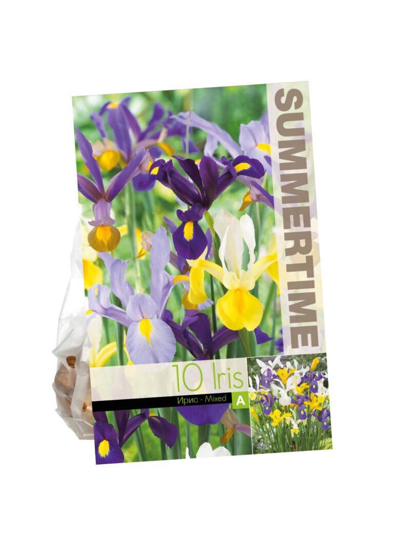 Iris Hollandica Mixed