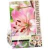 Lilium Rosella's Dream