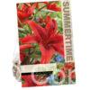 Lilium Red County