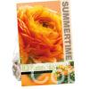 Ranunculus Orange