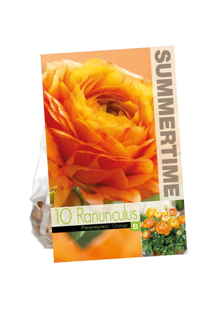 Ranunculus Orange