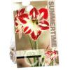 Amaryllis Amorita Esus
