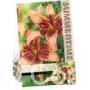 Lilium Whistler