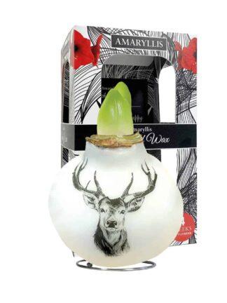 PO/02 Reindeer in carton gift box / red flower