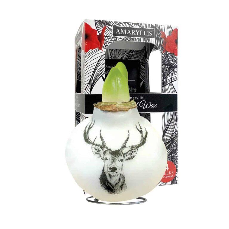 PO/02 Reindeer in carton gift box / red flower