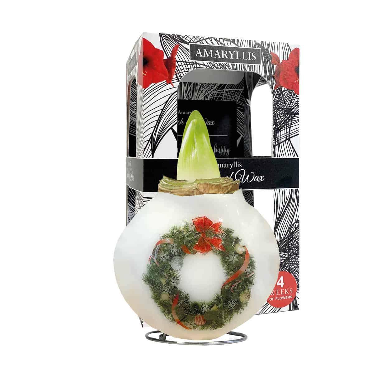 PO/03 X/Mas Wreath in carton gift box / red flower