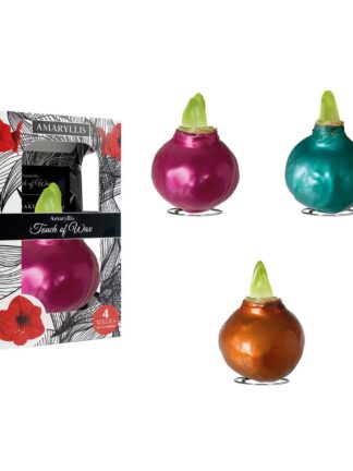 ME/01 mixed colours in carton gift box / red flower