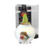 PO/01 Robin in PET gift box / red flower