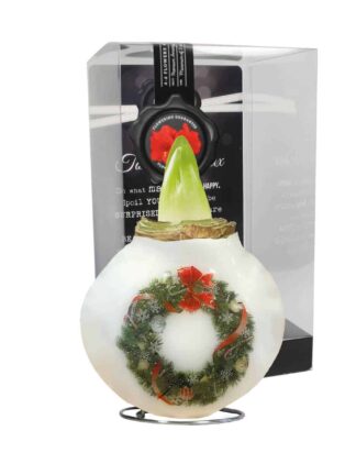 PO/03 X/Mas Wreath in PET gift box / red flower