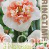Narcissus Fire Drill