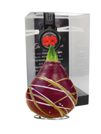 AR/01 mixed colours in PET gift box / red flower