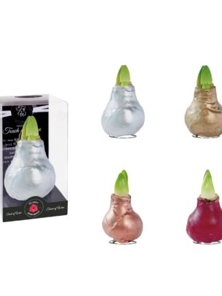 GLM/01 mixed colours in PET gift box / red flower