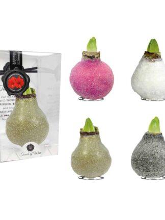 GA/01 mixed colours in PET gift box / red flower