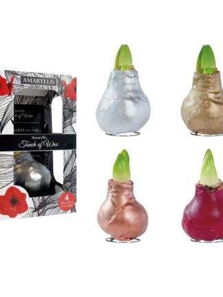 GLM/01 mixed colours in carton gift box / red flower