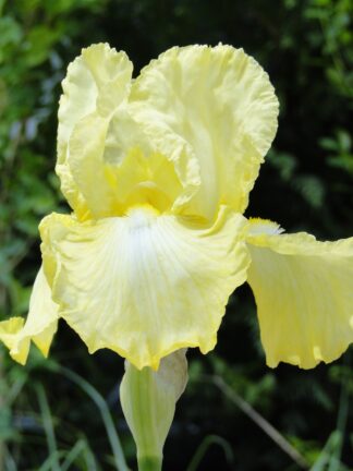 Iris Summer Olympics - bag