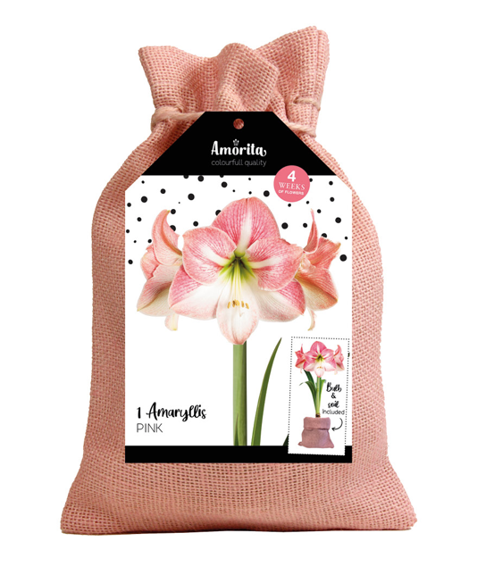 Amorita Bag Lovely pink