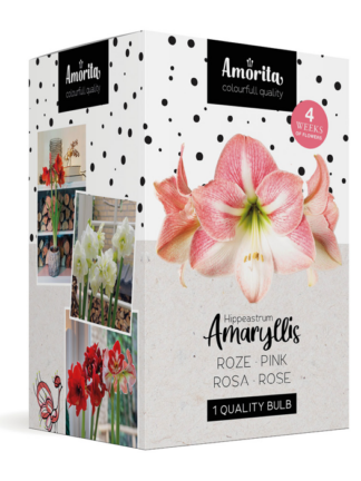 Amorita Box Lovely pink