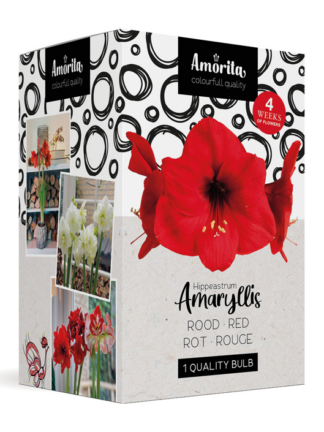Amorita Box Lovely red
