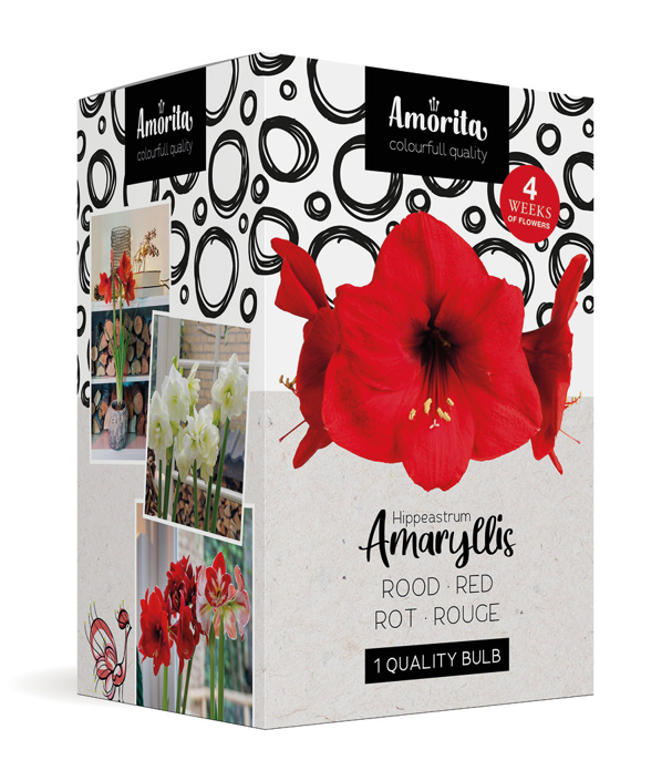 Amorita Box Lovely red