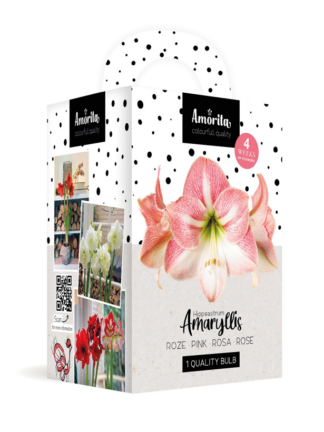 Amorita Kit Lovely pink