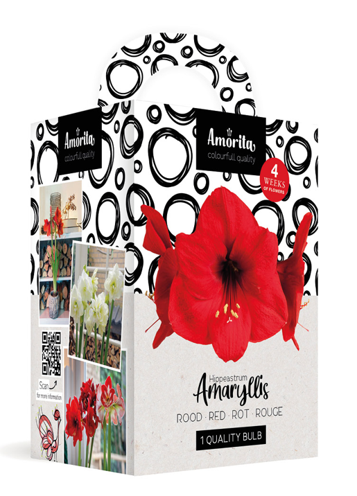 Amorita Kit Lovely red