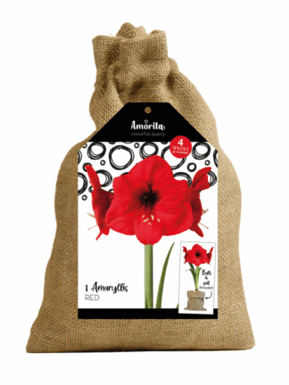 Amorita Bag Lovely red