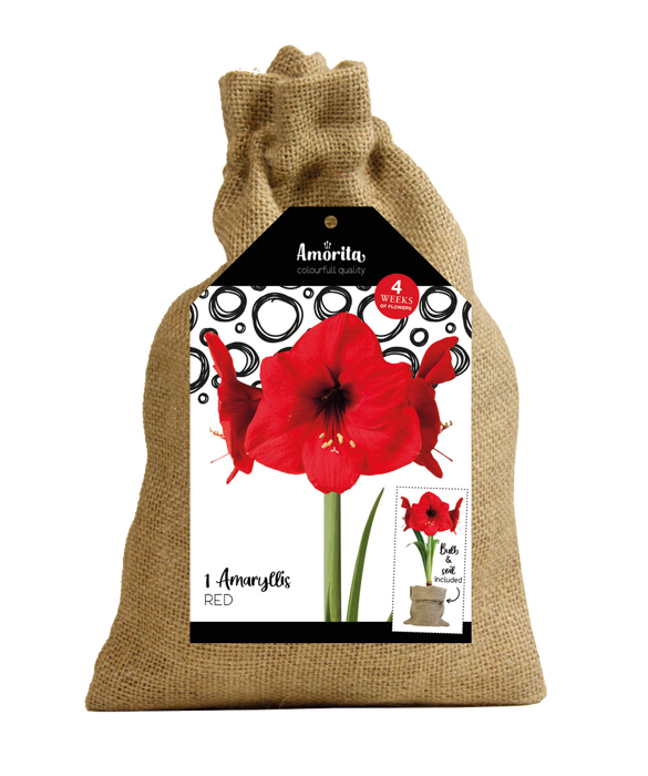 Amorita Bag Lovely red