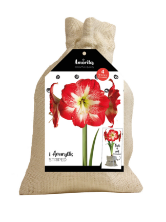 Amorita Bag Lovely Striped